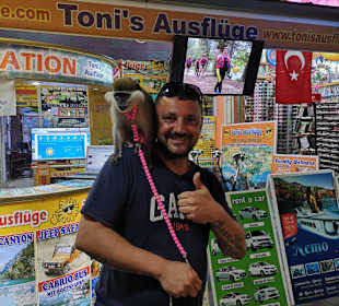 Der Reiseleiter Ringo 😎