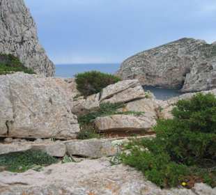 Felsen bei der Grotta di Nettuno