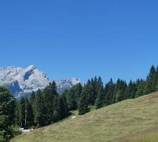 Eindrücke von unserer Wanderung am Eckbauer
