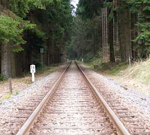 Wandern