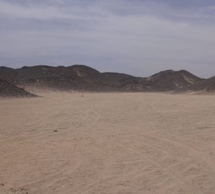 Quad Tour