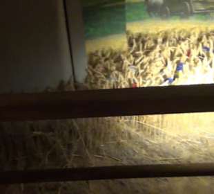 Alles für Nase und Gaumen