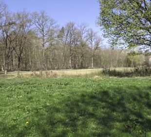 Sport- und Freizeitpark Markwasen