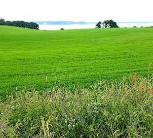Wanderung Loddiner Höft