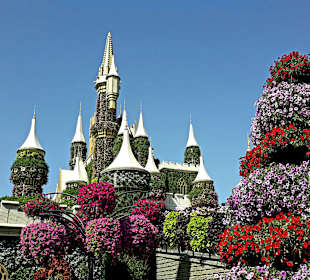 Miracle Garden