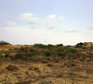 Gündogdu auf den Dünen oben