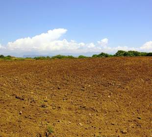 Seht euch diese Natur an...