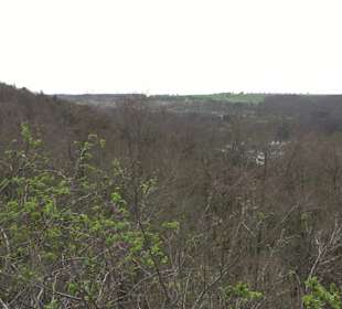 Wanderung rund um das Rusenschloss Gerhausen