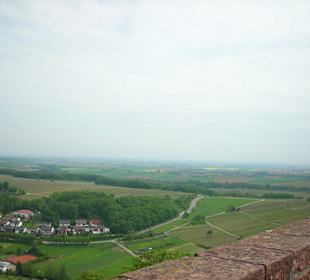 Blick von der Burg