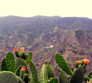 Las Montanas de Anaga