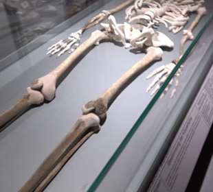 Museum Römer und Bajuwaren