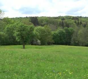 Naturpark Schönbuch