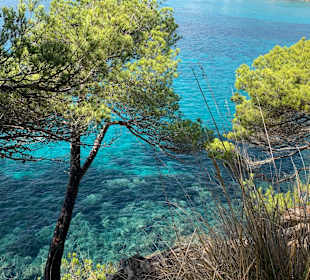 Strand Canyamel