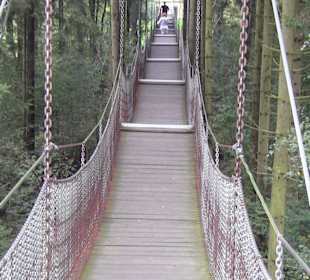 Hängebrücke zum Aussichtspunkt