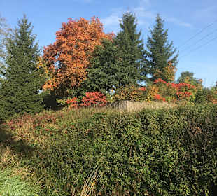 Naturschutzgebiet Großer Pfahl