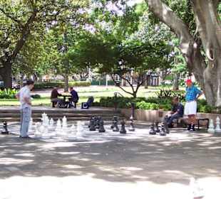 Schachspielen im Hyde Park