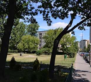 Ogród Czerniaków