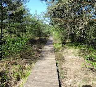 Impressionen vom Rundgang durch das Pietzmoor