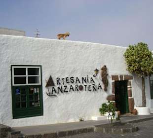 Auf den Hund gekommen