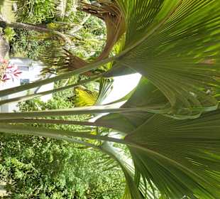 Fond Ferdinand Naturpark