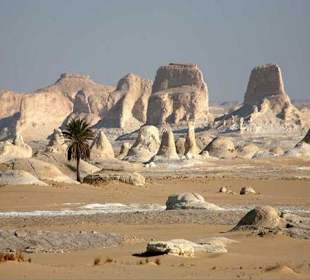 El Bahariya Oasis Day tour 