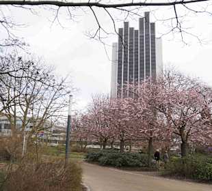 Anlage Planten un Blomen