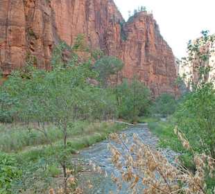 Zion NP