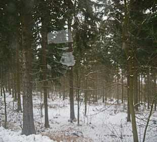 Fichtelbergbahn