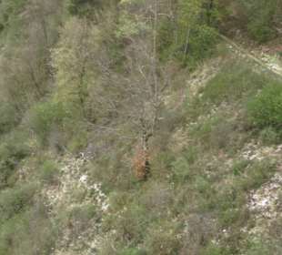 Burgruine Hohenhundersingen