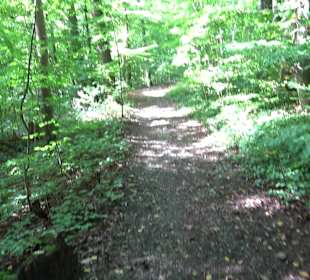 Sophienbrunnen von 1839 