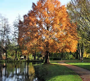 November im Stadtpark Wildeshausen