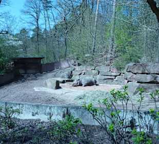 Panzernashorn - Anlage