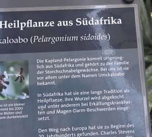 Botanischer Garten der Universität Zürich