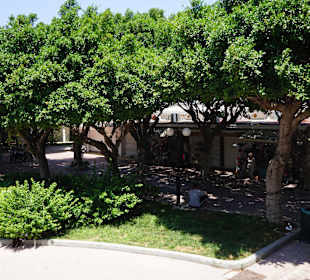 Altstadt Rhodos Stadt