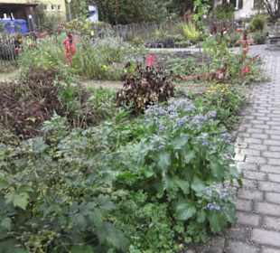 Umweltbildungszentrum Listhof