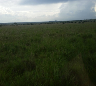 Sarova Salt Lick Game Lodge
