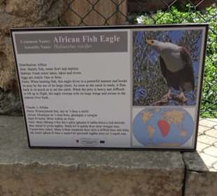 Malta Falconry Centre