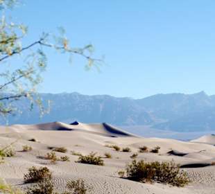 Mesquite Sand Dunes