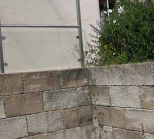 Ehemalige Molke Auingen