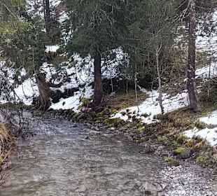 Wandern Mittelberg (Vorarlberg)