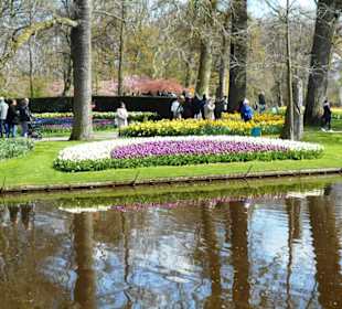 Blumenpracht im Keukenhof