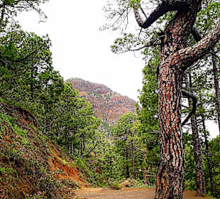 Traumhafte Landschaft