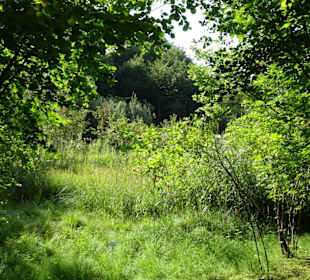 Südtiroler Landschaftsgarten in Trauttmansdorff