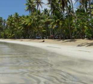 Samana-Las Terrenas Tour