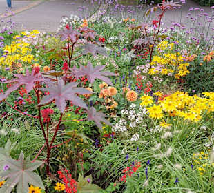 Deutsch-Französischer Garten
