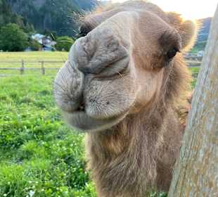 Wandern Luson / Lüsen