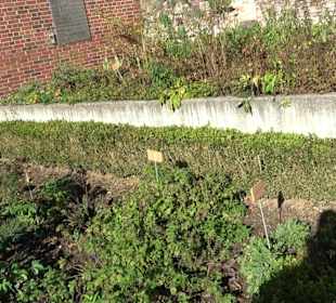 Klostergarten - Garten der Pilger Oberelchingen