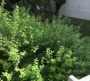 Stadtgraben mit Turm