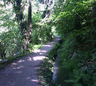 Maiser Waalweg