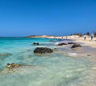 Pink Sand Beach Elafonissi